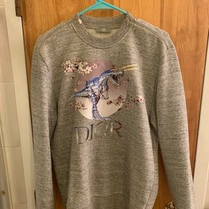 Dior x Sorayama T-Rex grey sweatshirt
